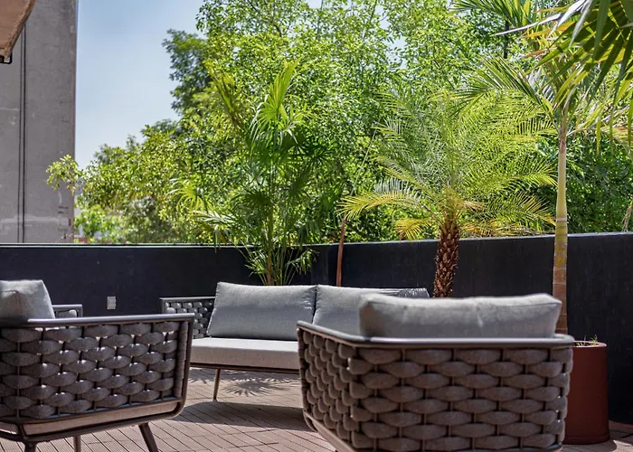 Apartment Ph Incredible Loft & Terrace Near Zocalo Casaxula Mexico City